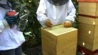Košnica Yuga - Sj Beehives Yuga-Sj Kaptár Yuga-Sj Улей Југа-Сј