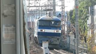 JR貨物 EF210-149号機(吹田)+コキ26両 貨物列車1054レ 2025.12.13