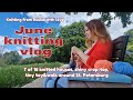 June knitting vlog: knitting houses, shiny crop-top, tiny duck and walk around St. Petersburg