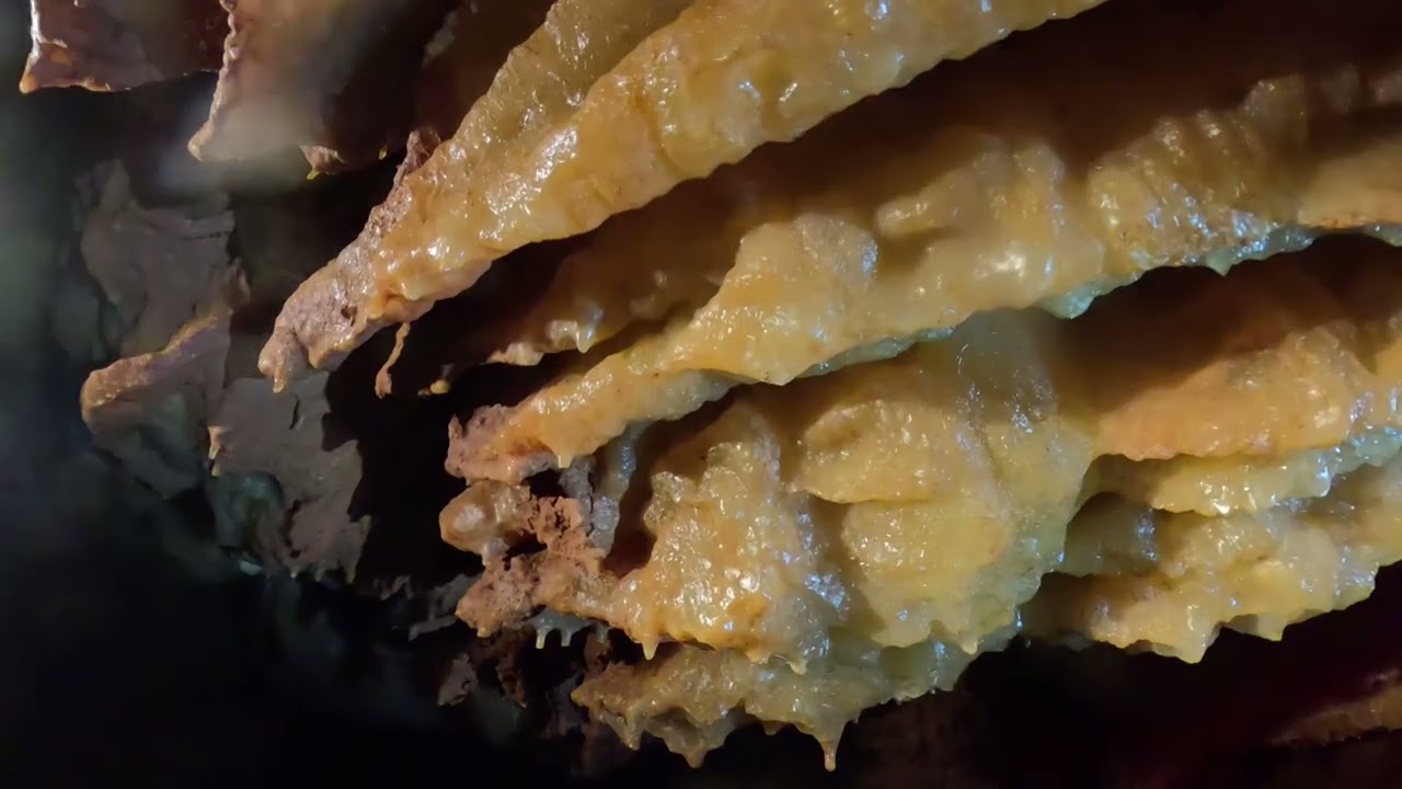 GoPro: Into the Abyss - Rappelling, Salamanders & Subterranean Wonders