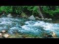 Soothing Natural River Sounds 🍃 Forest White Noise for Relaxation