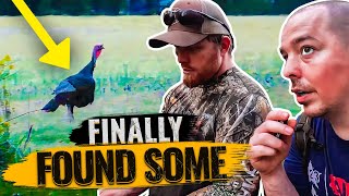 Scouting Turkeys for My Son’s Youth Hunt – Wild Day! 🦃