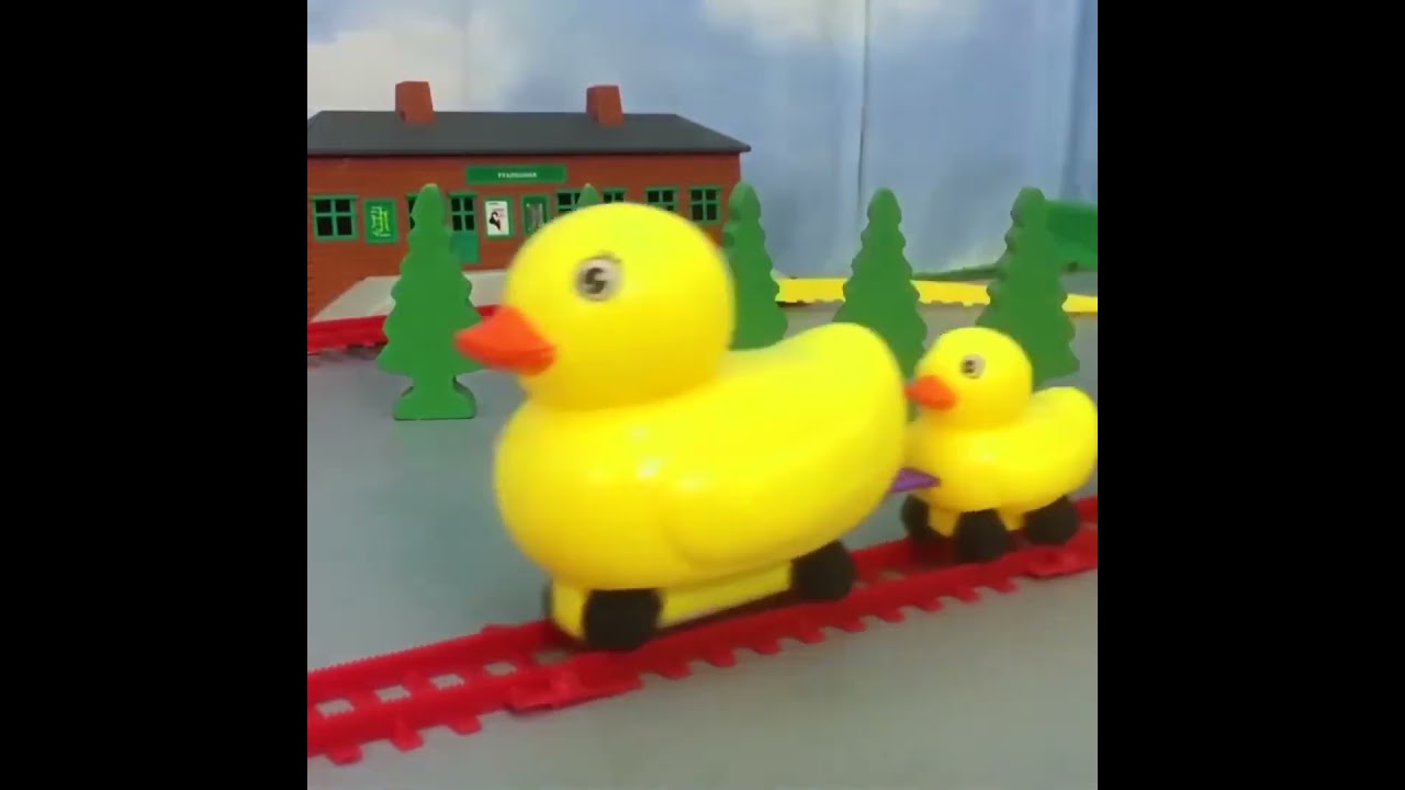 Duck Train 