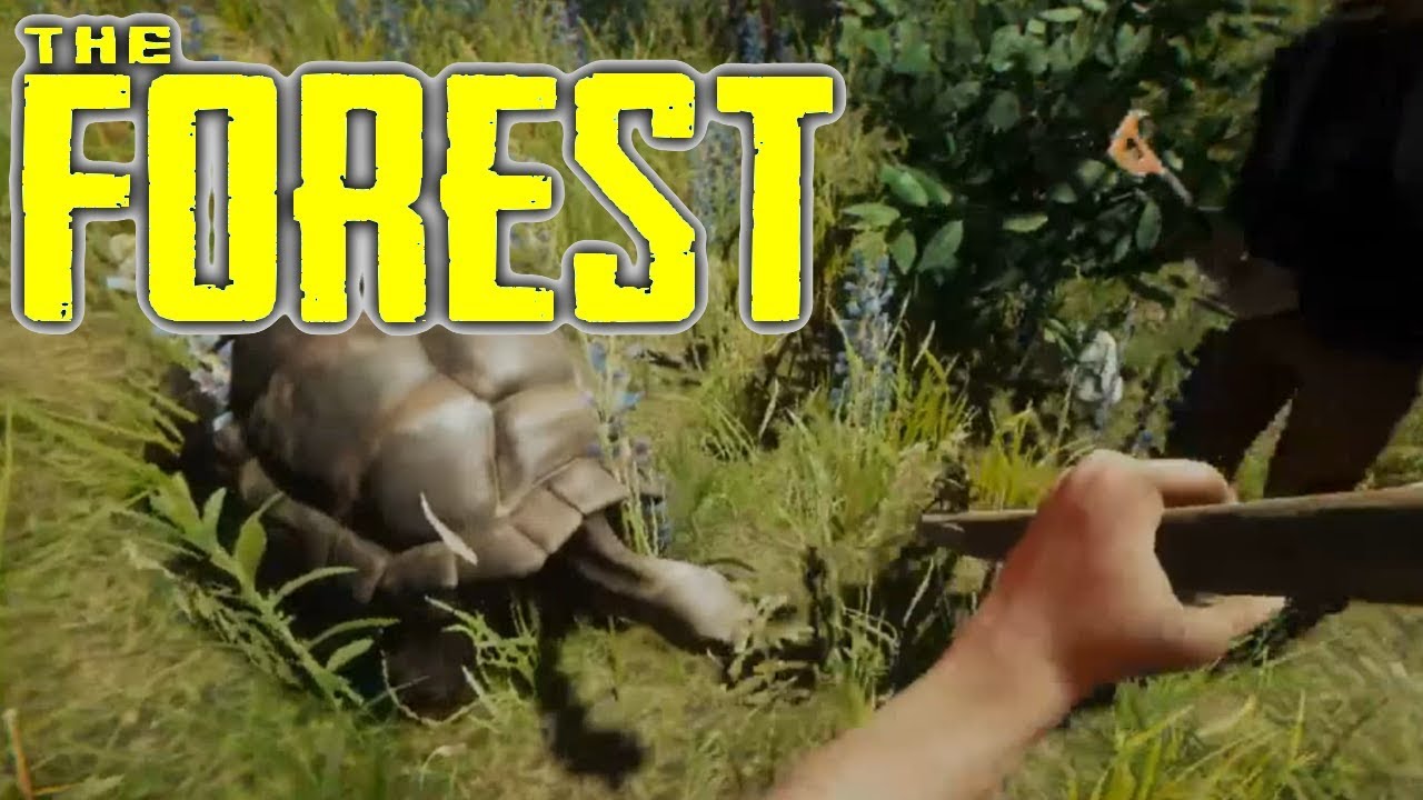 The Forest - Ep3 (PET TURTLE) ft. Xogue