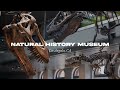 Natural history museum walking tour  4kr