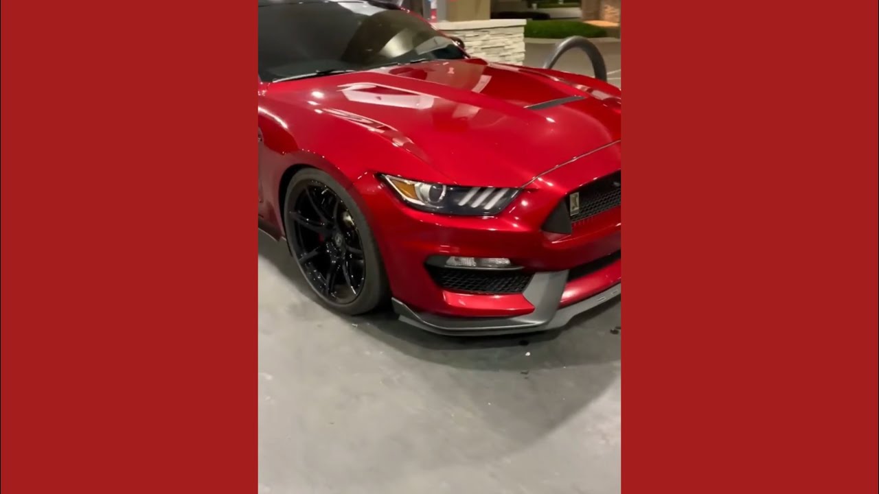 SHELBY GT350 WALKAROUND 