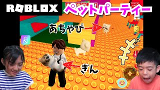[ROBLOX] What would life be like if Achagin became a cat? Pet Party screenshot 1