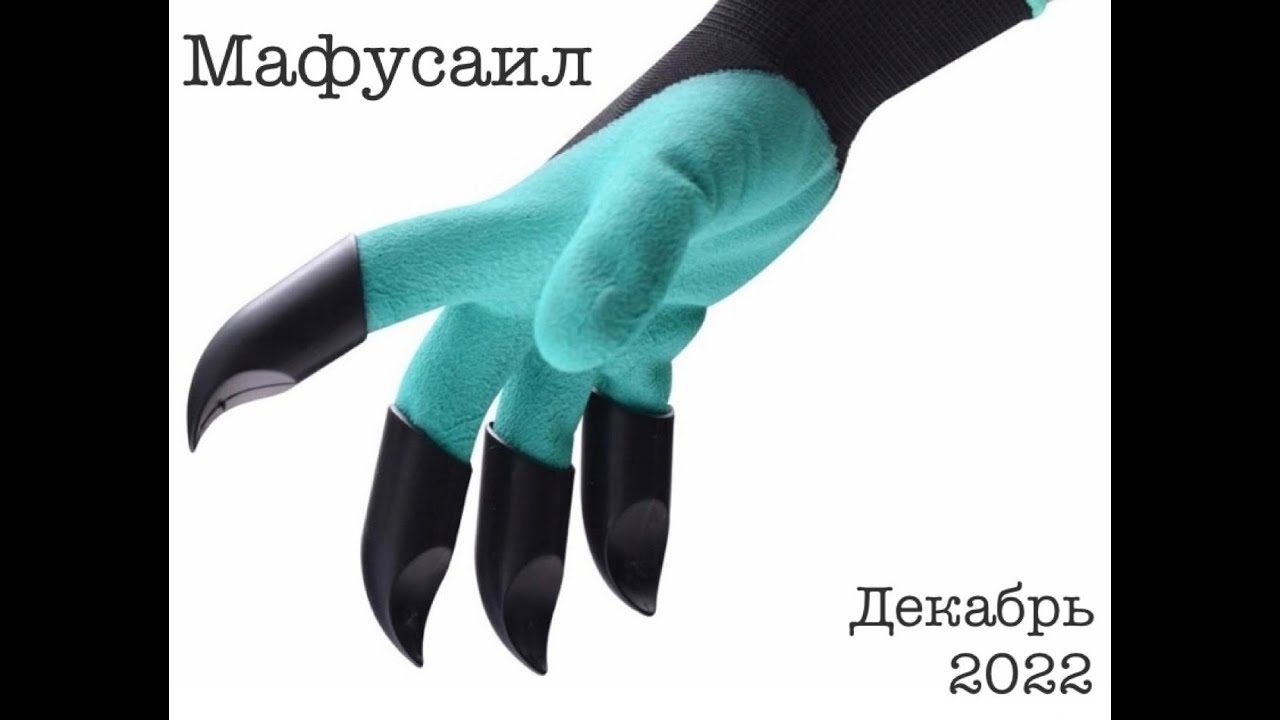 Молекула Бога: Мафусаил. Тизер. - YouTube