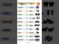 irregular plurals . #education #guidance #shortvideo #viralvideo #english #views