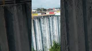 Highlight 509 1007 From Sofia 9 Official Is Live