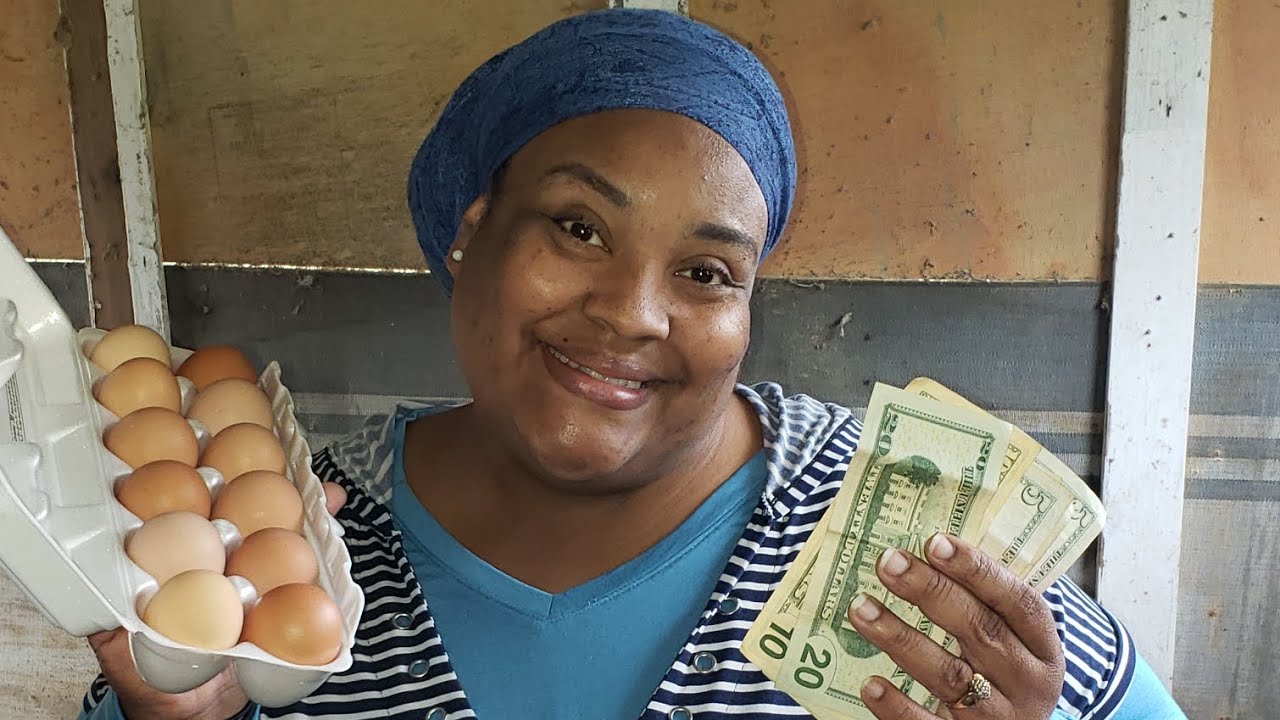 36 a Dozen! How to Make Top Dollar from Eggs YouTube