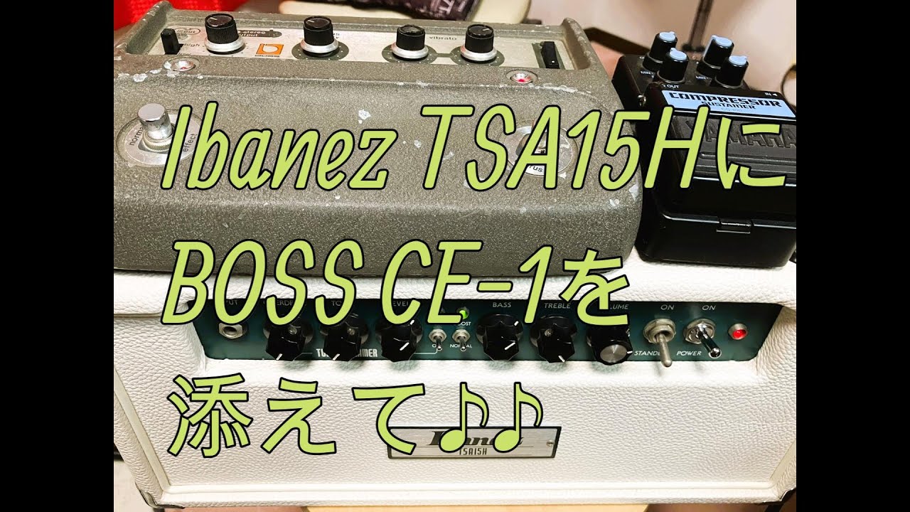 Ibanez TSA15HにBOSS CE-1 YAMAHA COMPRESSOR CS-100を添えて