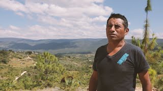 Productores de mezcal en San Pedro Teozacoalco