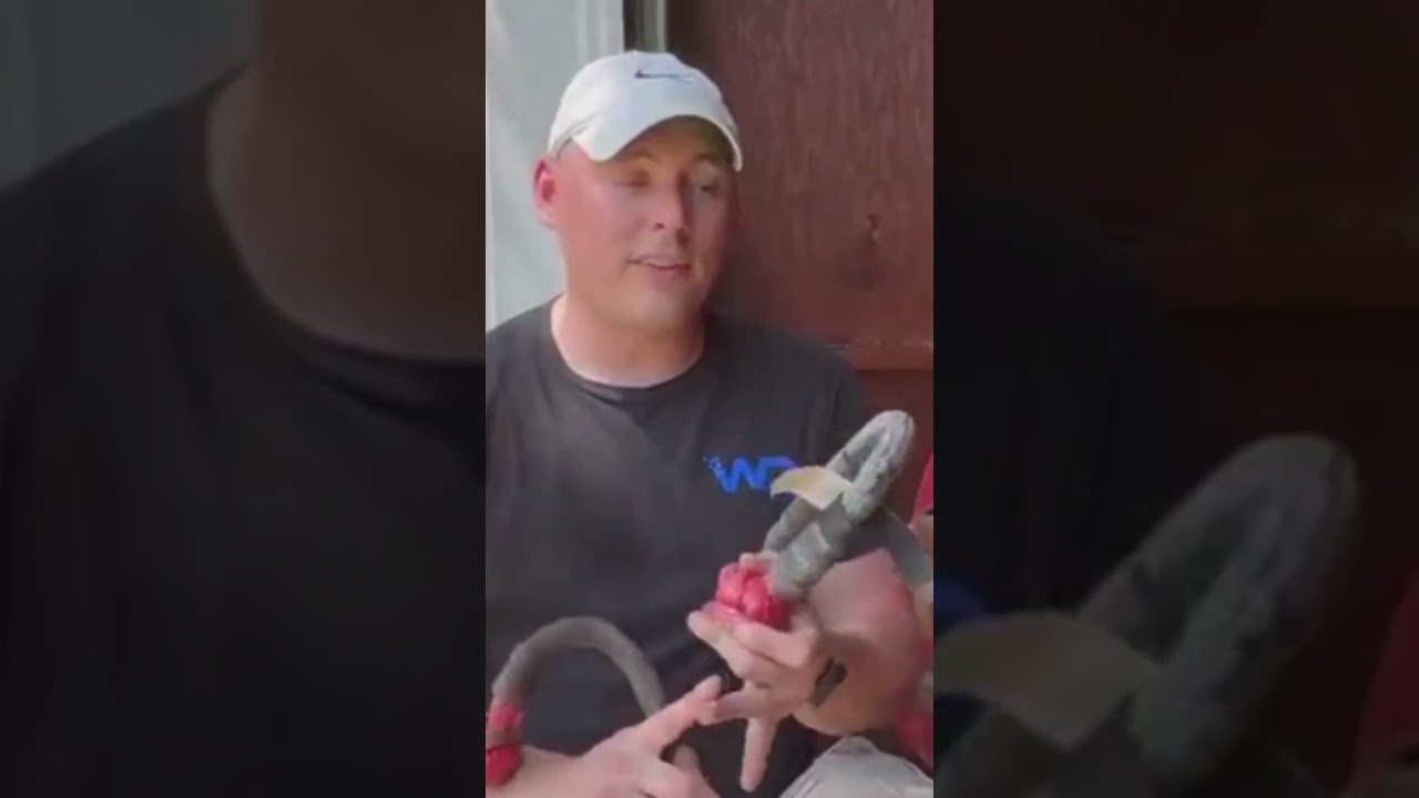 Abandoned supercar: Ferrari| First Wash in 28 years|car DETAILING REstoration