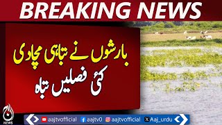 Hundreds of Acres Flooded in Hafizabad&rsquo;s Villages &ndash; Aaj News