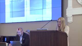 Hiilineutraalisuutta Hinnalla Millä Hyvänsä?