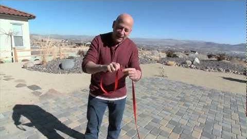 Multi Function Leash