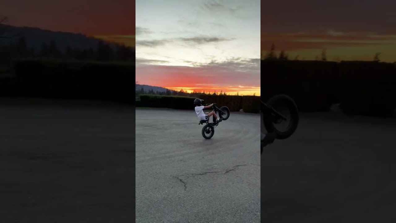 One Pound Fish 🐟🗿 