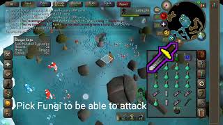 Slayer Task Mutated Zygomites on Zanaris OSRS