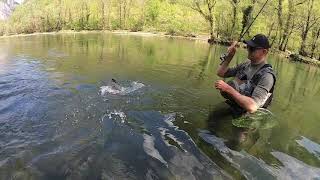 vrbas fly fishing