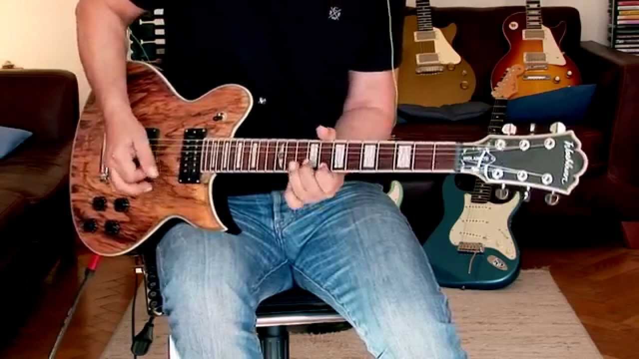 Washburn "Idol" Limited Edition in spalted Maple