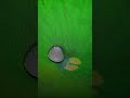 harku jamana#sorts #religion #music#islamicvideo