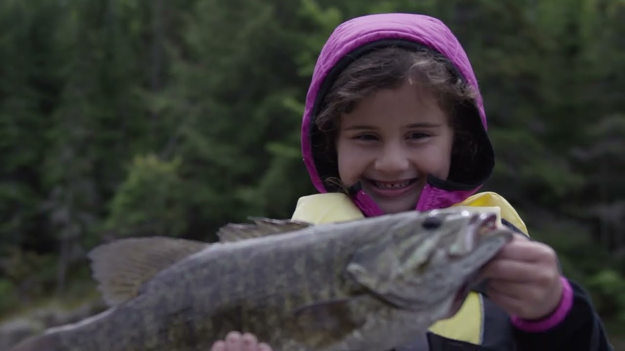 Toronto RAP: Most Resident Fish are Safe to Eat