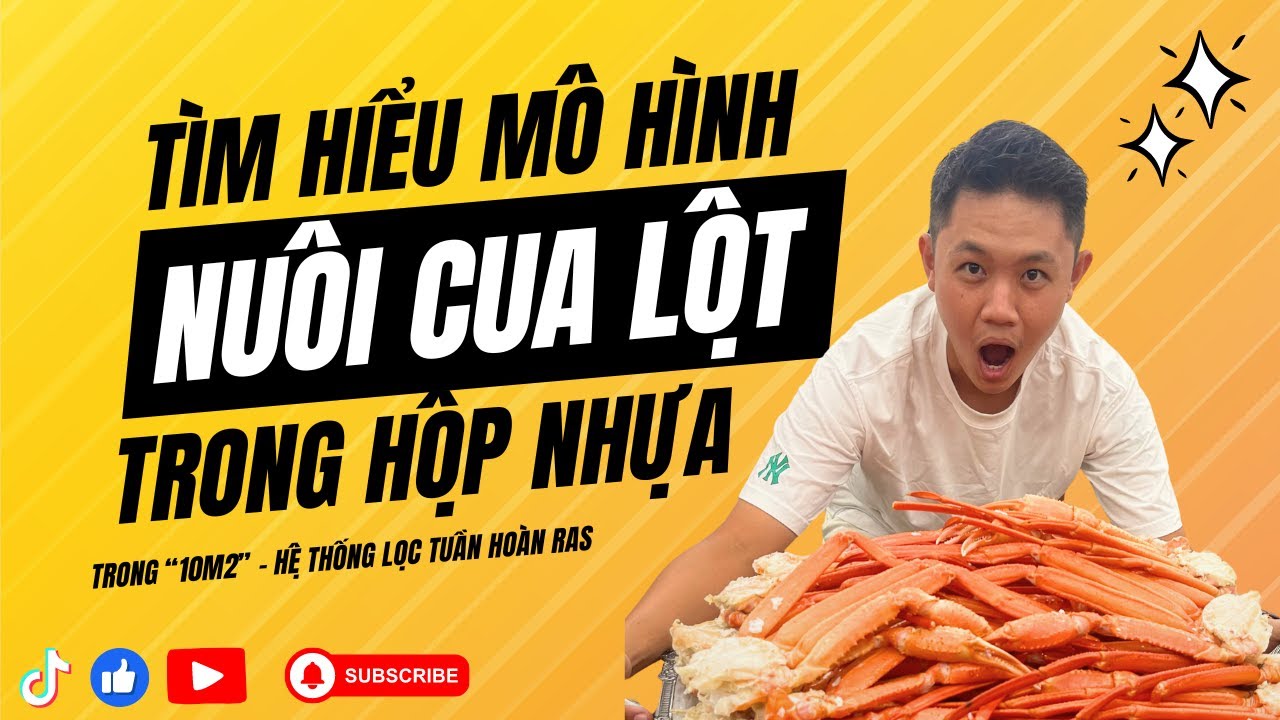 Tìm Hiểu Mô Hình Nuôi Cua Trong Hộp Nhựa trong Nhà... - youtube