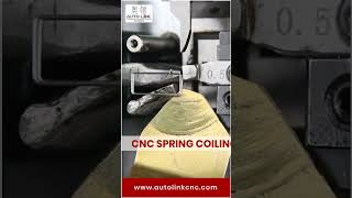 Famous CNC Spring Coiling Machine Wealth