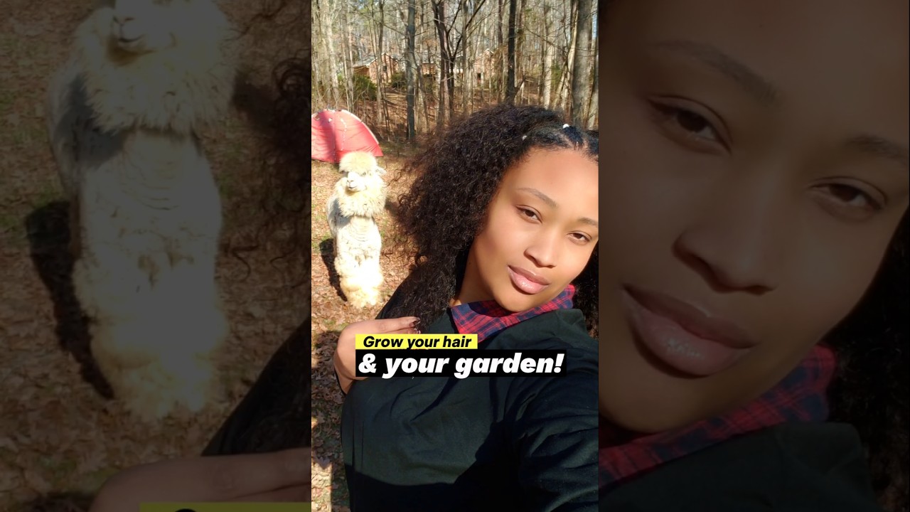 🌿✨ Grow Your Hair & Your Garden – DIY Hair Care Straight from Nature! 💆🏾‍♀️