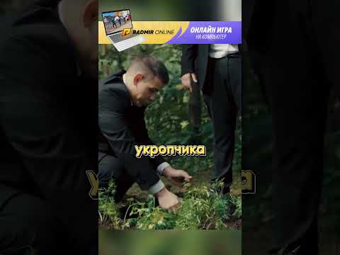 Телохранители | садовод ящер #рекомендации #сериал #шортс #телохранители