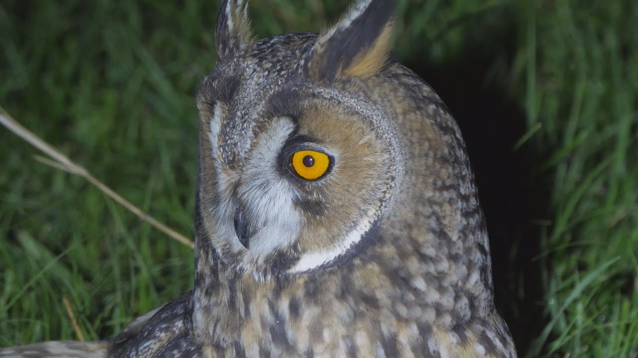 M5 TV – Erdei utakon – 2025/32. adás – 2025.08.10.