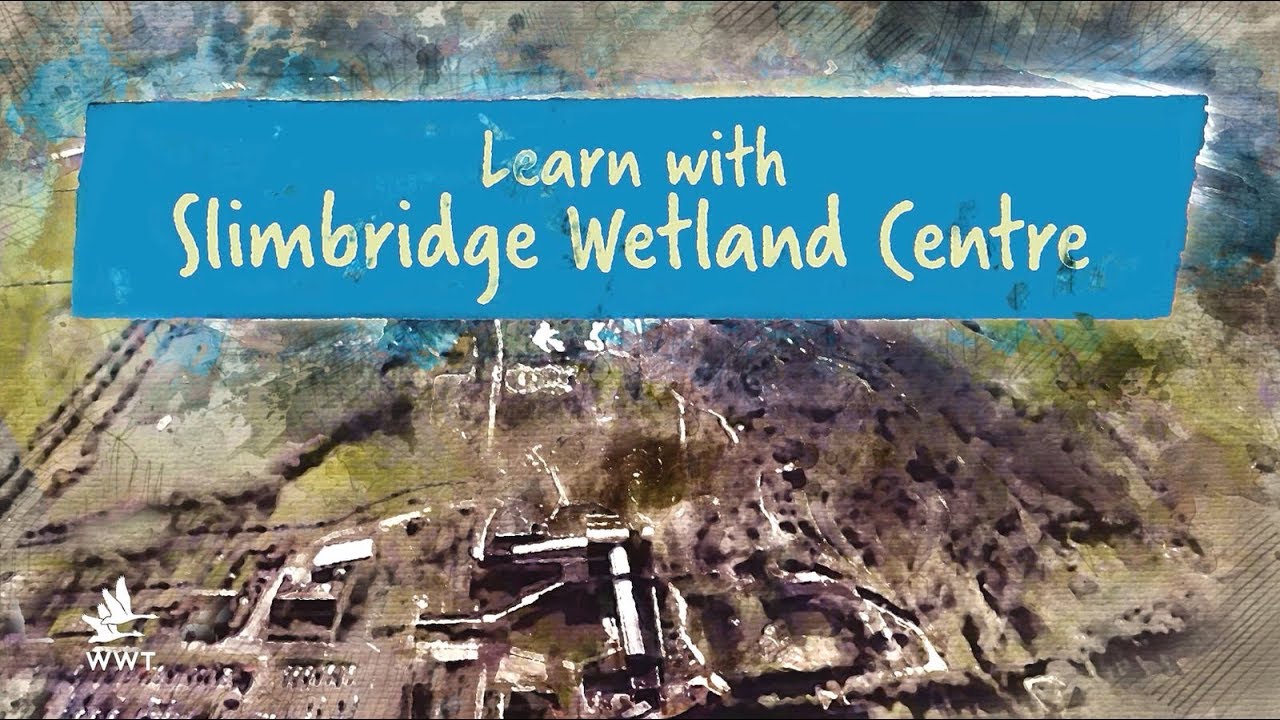 Learn with WWT Slimbridge