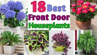 18 Best Plants for Front Door | Plants for your entrance | Plant and Planting