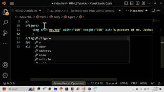 HTML5 - 14 - The figure and figcaption Elements