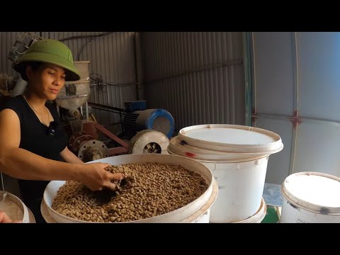 Video Đầu tư tiền tỷ để làm cám, thành công dành cho người... - youtube