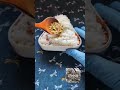 corned beef onigiri