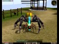 Metin2 sikca vs boss pavouku
