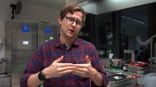 Implementing LOWINFOOD innovations: Plate waste tracker for school canteens