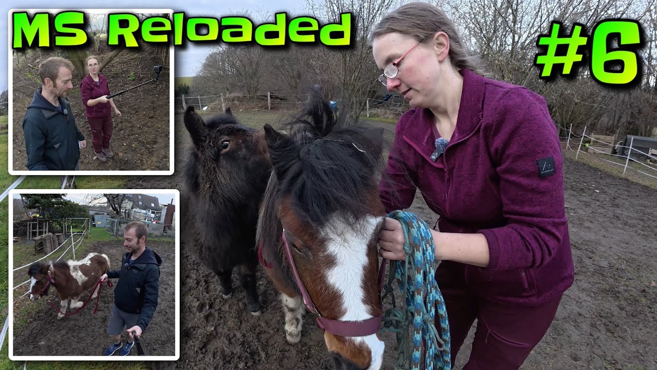 MS Reloaded #6 | Nicole, MS und die Ponys