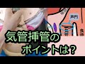 気管挿管をしよう〜注意点と手技のコツ〜【ICLS、ACLS】