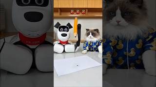 The robots tried to stop the insect with the cat but it flew away🤣🤣#shorts #cat #robot #shortsviral