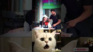 Unexpected moment 🤣 #funny #cat #shorts