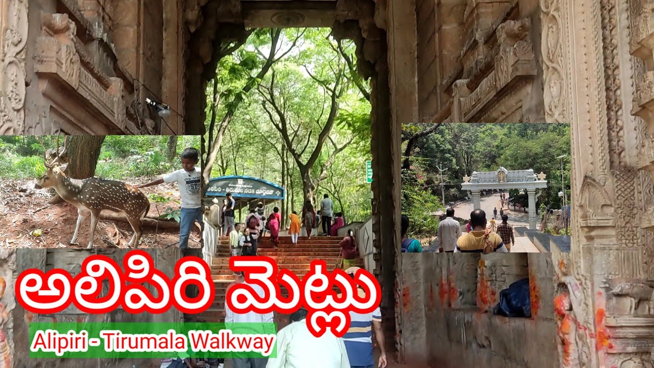 Alipiri To Tirumala By Steps 2023 Alipiri steps foot path way to