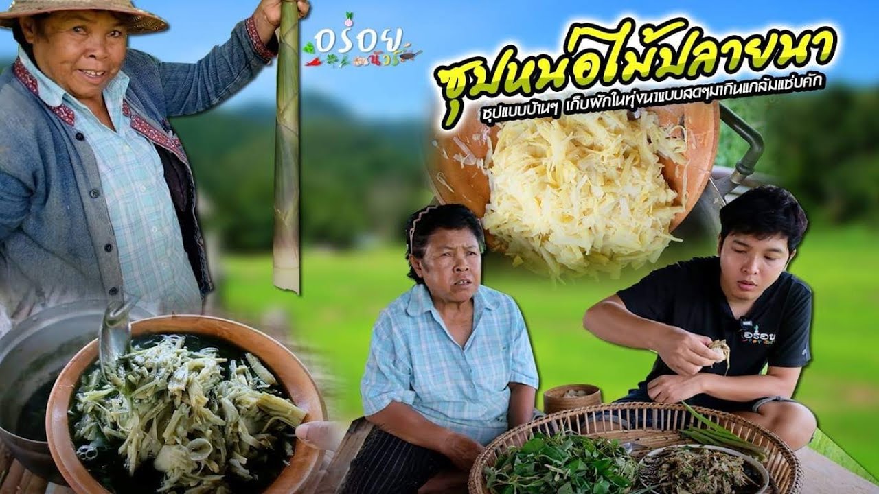 หาหน่อไม้ปลายนามาซุปแบบบ้านๆ เก็บผักในทุ่งนาแบบสดๆมากินแกล้มแซ่บคักพี่น้อง | อร่อยนัวร์