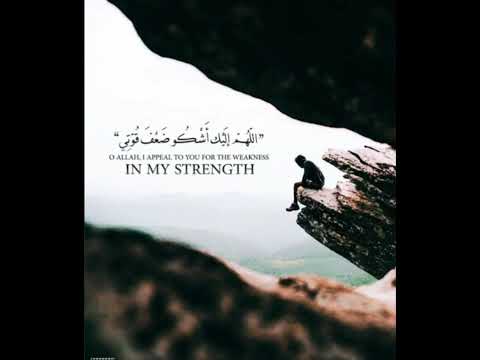 صامتا لو تكلما احمل الاناشيد