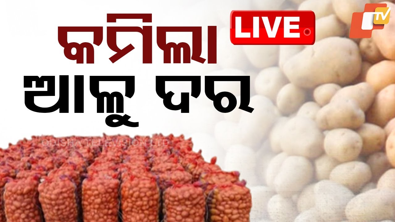 LIVE | କମିଲା ଆଳୁ ଦର | Potato Price | Odisha
