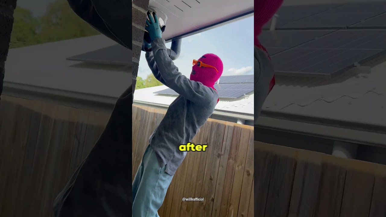 A DIY Approach to Wasp Removal