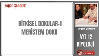 BİTKİSEL DOKULAR-1| MERİSTEM DOKU | AYT BİYOLOJİ  | 12 BİYOLOJİ |  YKS 2025