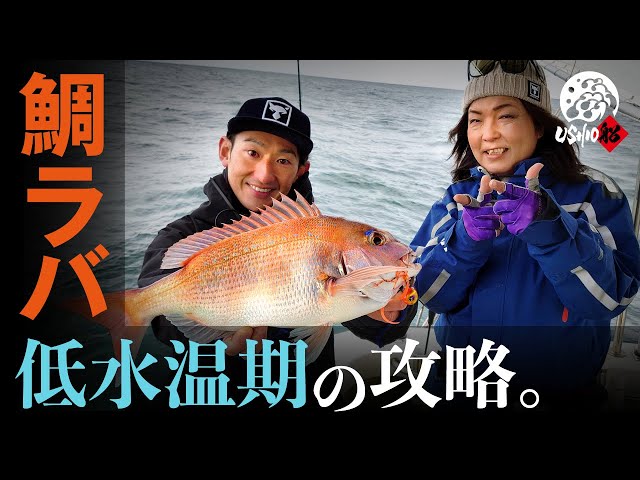 タイラバ】低水温期の気難しいマダイを攻略！｜USHIO船 田中亜衣 田邊